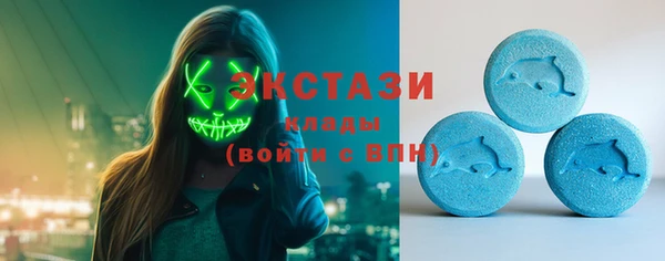 дживик Гатчина