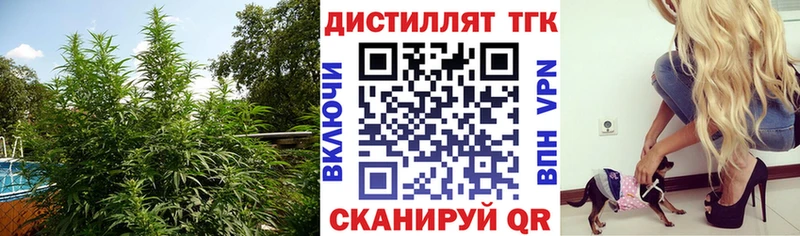 гидра зеркало  Инта  Дистиллят ТГК THC oil 