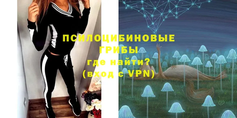 darknet Telegram  закладка  Инта  Галлюциногенные грибы Psilocybe 