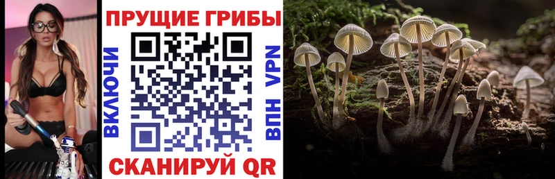 Псилоцибиновые грибы мухоморы  закладка  Инта 