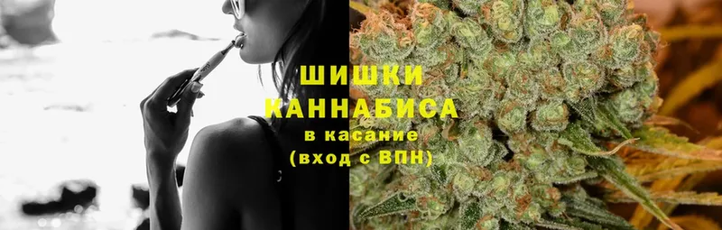 Бошки марихуана OG Kush  Инта 